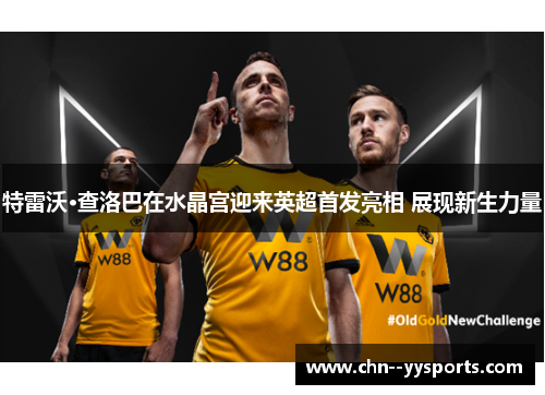 特雷沃·查洛巴在水晶宫迎来英超首发亮相 展现新生力量 特雷沃·查洛巴在水晶宫迎来英超首发亮相 展现新生力量