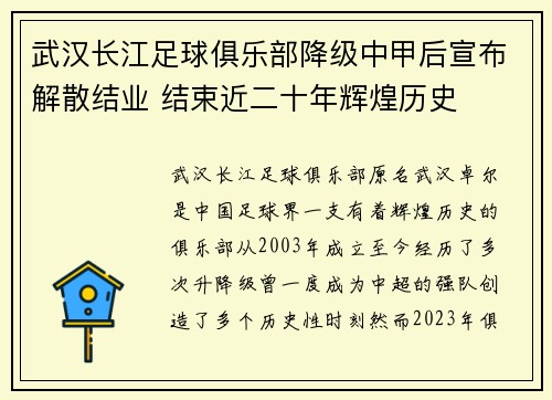 武汉长江足球俱乐部降级中甲后宣布解散结业 结束近二十年辉煌历史